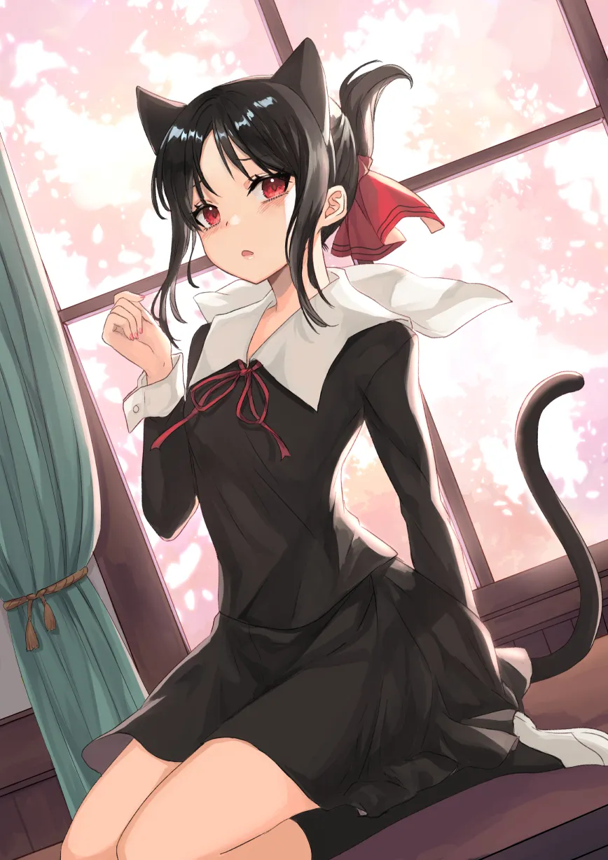 1girl animal_ears black_dress black_hair black_hairband black_socks blush cat_ears cat_tail curtains day desk dress fake_animal_ears folded_ponytail hair_ribbon hairband hand_up indoors long_sleeves looking_at_viewer neck_ribbon on_desk parted_bangs parted_lips red_eyes red_ribbon ribbon school_uniform shoes shuuchiin_academy_school_uniform sitting socks solo tail wariza white_shoes window ten_chan__eternal_s kaguya_sama shinomiya_kaguya__kaguya_sama