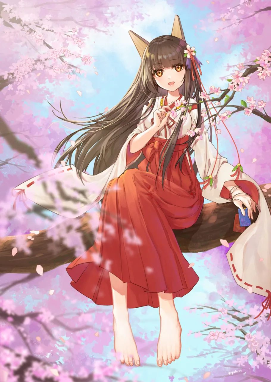 1girl animal_ears barefoot breasts brown_eyes brown_hair cherry_blossoms feet fox_ears in_tree japanese_clothes large_breasts long_hair miko shoes sitting sitting_in_tree solo tabi toenails toes tree unworn_shoes yukiri__l_ii warship_girls_r akagi__warship_girls_r